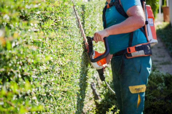 Taille de haie Cher