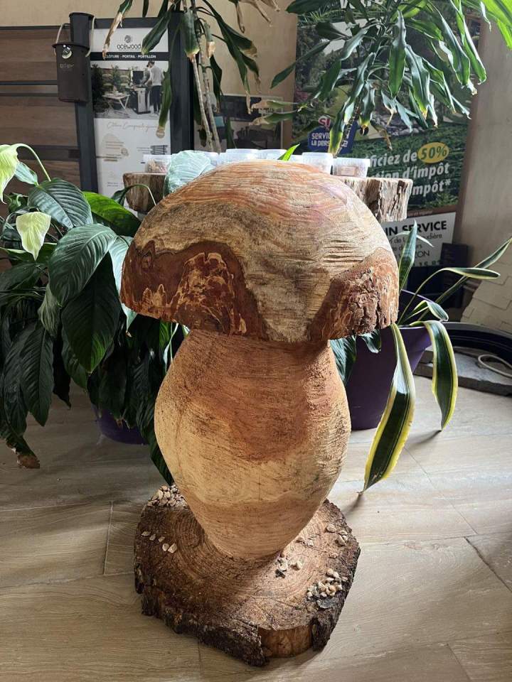 Vente de champignon Cher