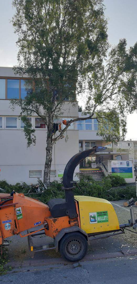 Ramassage agrégats élagage Cher