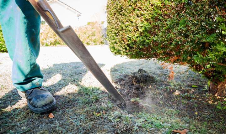 Travaux de jardinage Cher