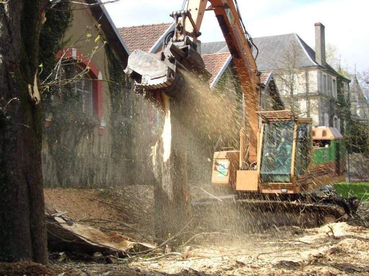 Abattage arbre Cher