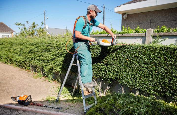 Taille haie professionnelle Cher