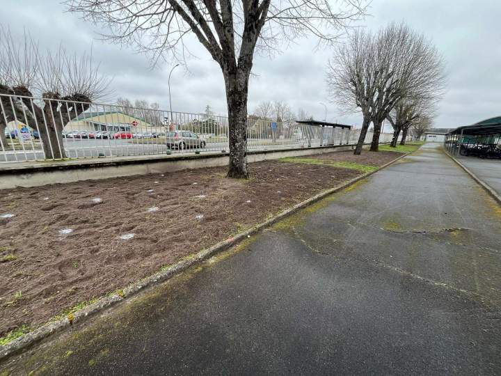 WhatsApp Image 2025 03 18 à 15.07.57 14d79018