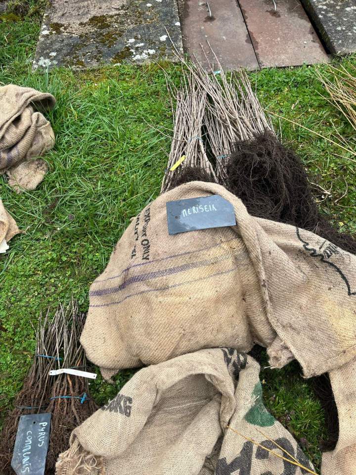 WhatsApp Image 2025 03 18 à 15.14.27 b2831554