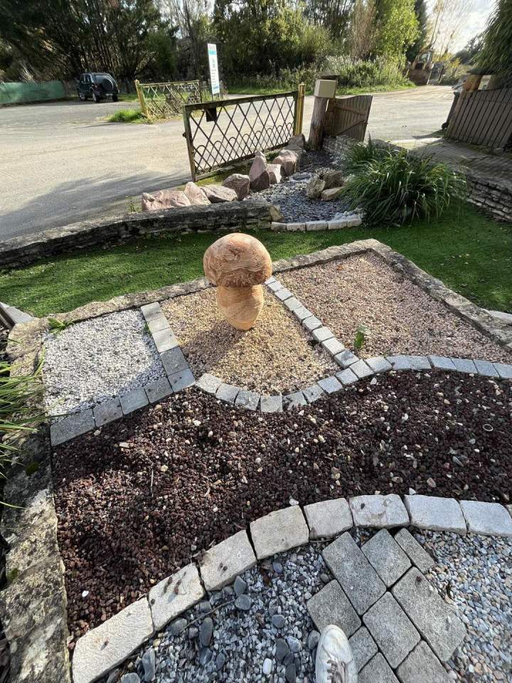 Champignon pour jardin Cher