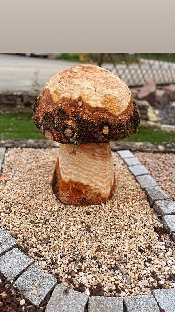 Champignon pour jardin Cher