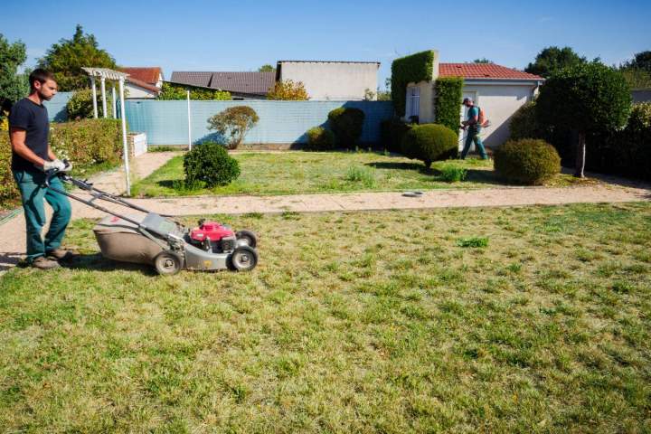 Entretien pelouse Cher