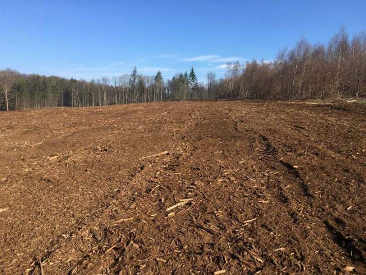 travaux forestiers broyage apres 1920w